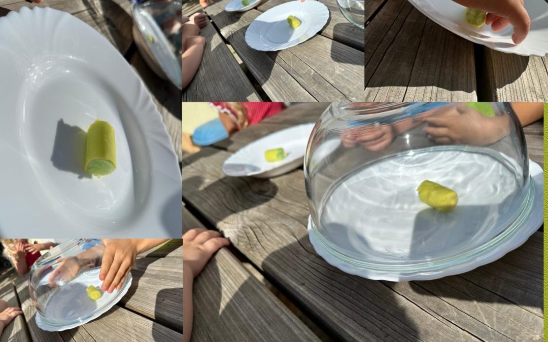 Knirpse nehmen den Treibhauseffekt unter die Lupe!