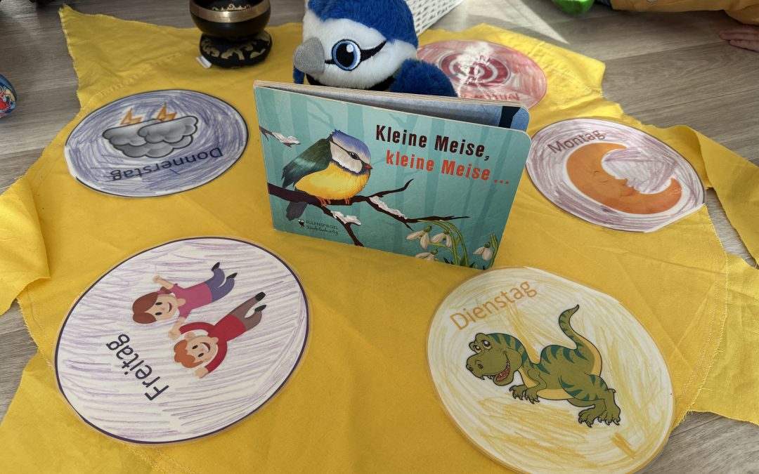 Start in unser Projekt zur kleinen Meise