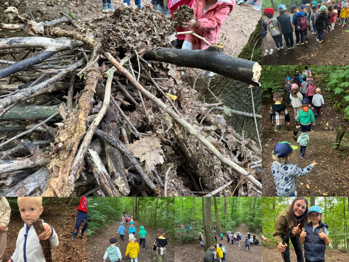 Collage. Igelunterschlupf aus viel Holz für die Igel Familie. Kinder gehen im Wald spazieren.