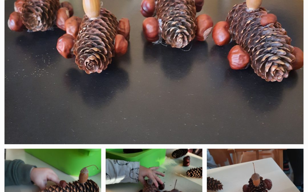 Rollende Herbstschätze